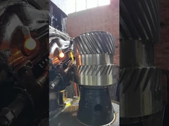 12 मॉड्यूल एकल हेलिकल गियर 76 गियरबॉक्स के लिए दांत