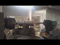 395 मिमी टिप व्यास कीड़ा शाफ्ट और 0.2 किलोग्राम वजन के साथ कीड़ा गियर